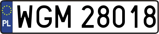WGM28018
