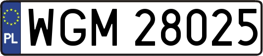 WGM28025