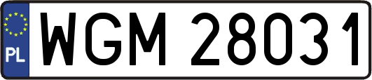 WGM28031