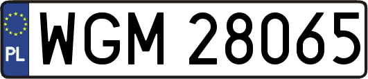 WGM28065