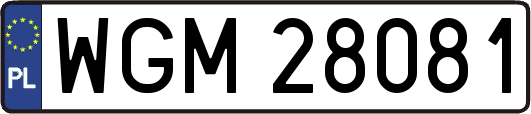 WGM28081