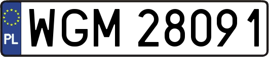 WGM28091