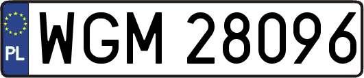 WGM28096