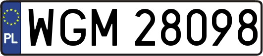 WGM28098