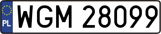 WGM28099