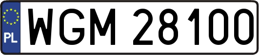 WGM28100