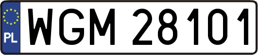 WGM28101