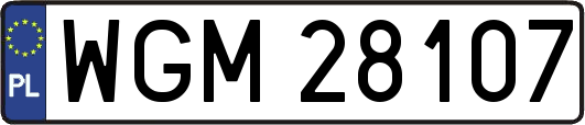 WGM28107