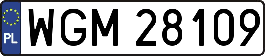 WGM28109