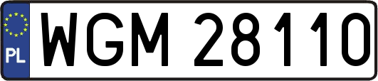 WGM28110
