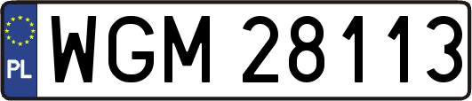 WGM28113