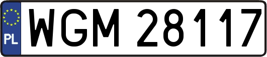 WGM28117