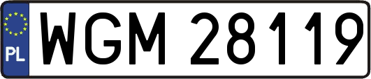 WGM28119