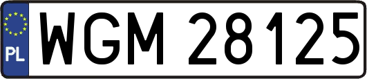 WGM28125