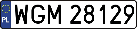 WGM28129