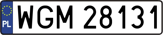 WGM28131