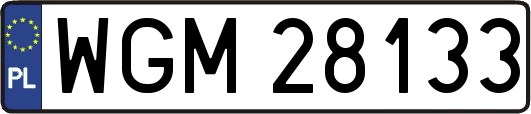 WGM28133
