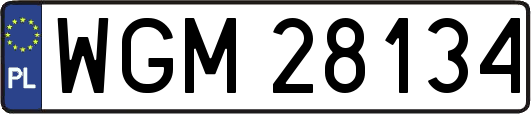WGM28134