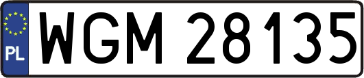 WGM28135