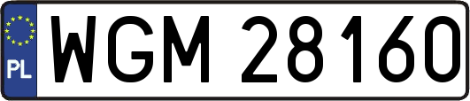 WGM28160