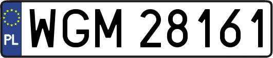 WGM28161