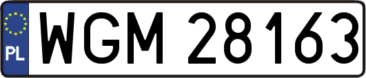 WGM28163