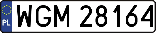 WGM28164