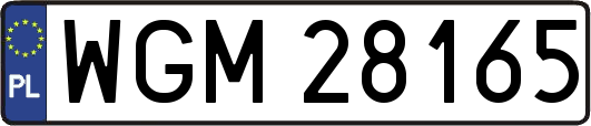 WGM28165