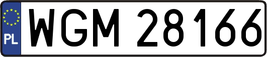 WGM28166