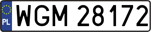 WGM28172