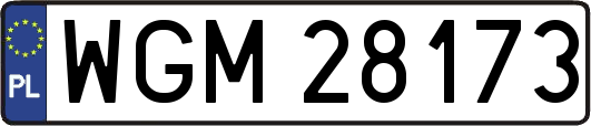 WGM28173