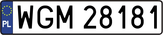 WGM28181