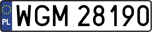 WGM28190