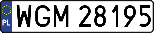 WGM28195