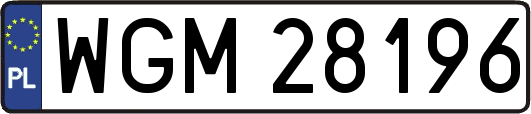 WGM28196