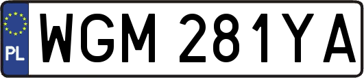 WGM281YA