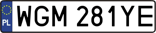 WGM281YE