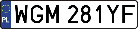 WGM281YF