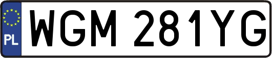 WGM281YG
