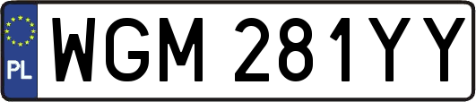 WGM281YY