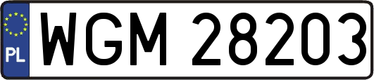 WGM28203