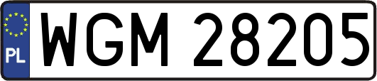 WGM28205