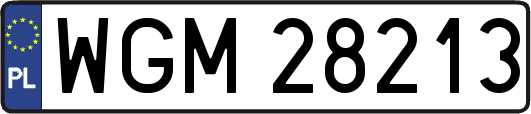 WGM28213