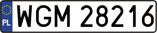 WGM28216