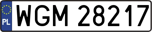 WGM28217