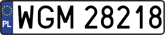 WGM28218