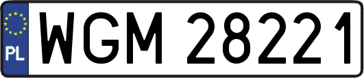 WGM28221