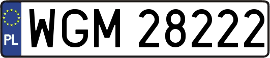 WGM28222