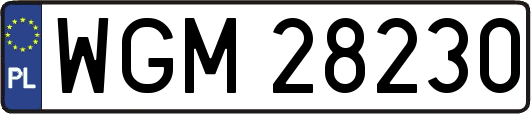 WGM28230