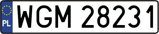WGM28231